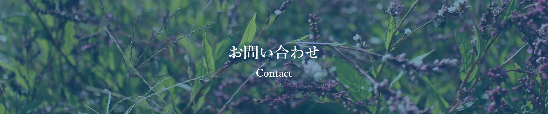 お問い合わせ contact