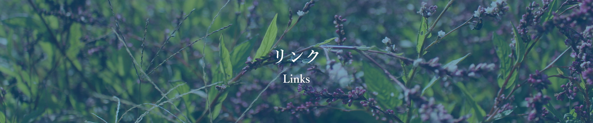 リンク links