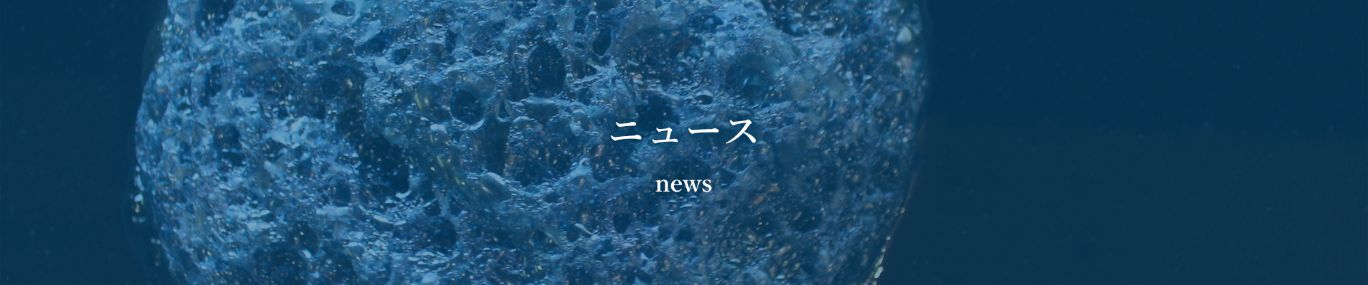 ニュース news