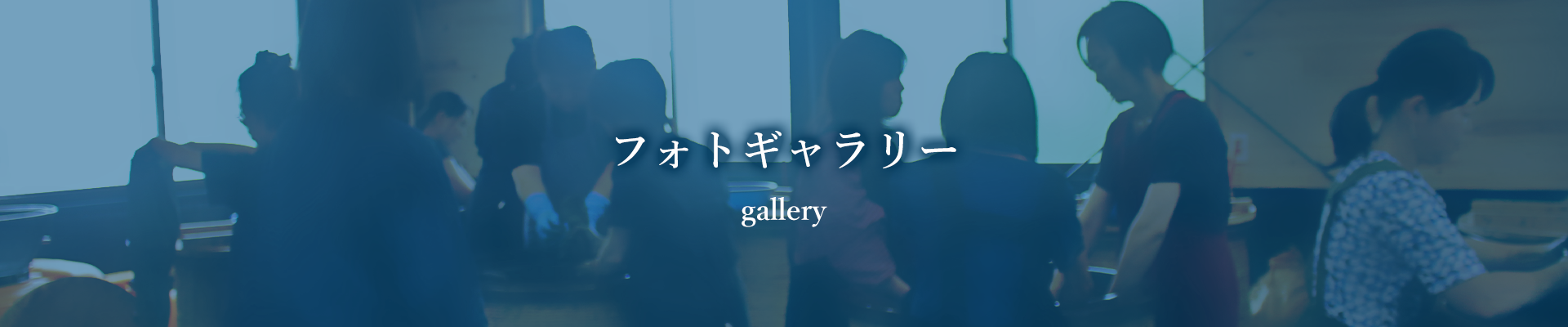 フォトギャラリー gallery