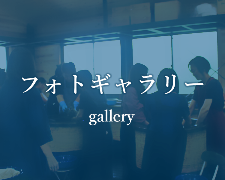 フォトギャラリー gallery