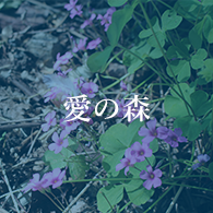 藍の森